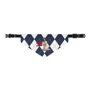 Pet Supplies: bandana collars, harness sets and pet sweaters