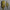 MEDBAG Tactical A-TACS Toolbag Medical Kit, khaki MOLLE medical pouch with cross patch, photo 11