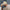 Man wearing the When In Doubt, BLAME Anesthesia! distressed dad hat in khaki, side view