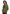 Model wearing the Army University of Denied Claims crest hoodie, front view of the collegiate seal